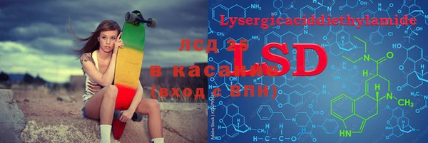 PSILOCYBIN Инта