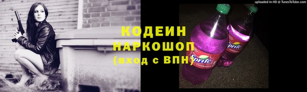 PSILOCYBIN Инта