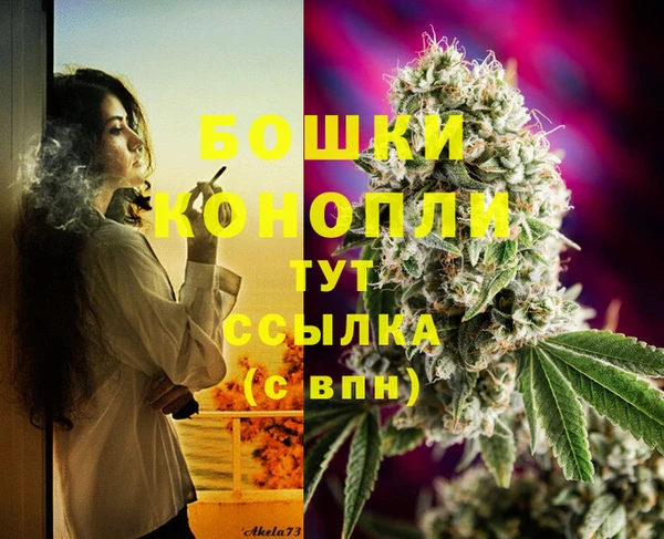 СК Инсар