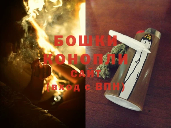 PSILOCYBIN Инта