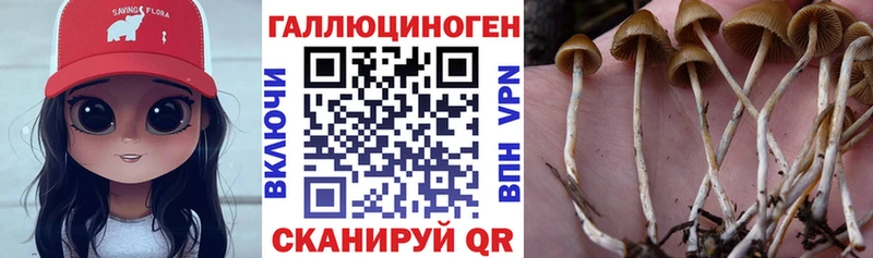 Купить закладки  Мурино  Галлюциногенные грибы MAGIC MUSHROOMS 